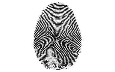 NEW AI RECOGNITION OF ADULTS SHOWN AS MINORS in 2025